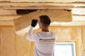 Best Eco-Friendly or Green Insulation Solutions  in Lansdowne, PA